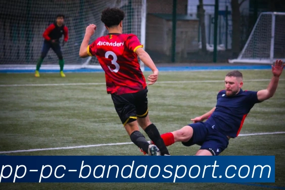 半岛体育发展历程